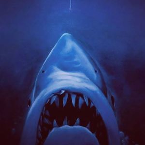 Meet your Posher, Ben